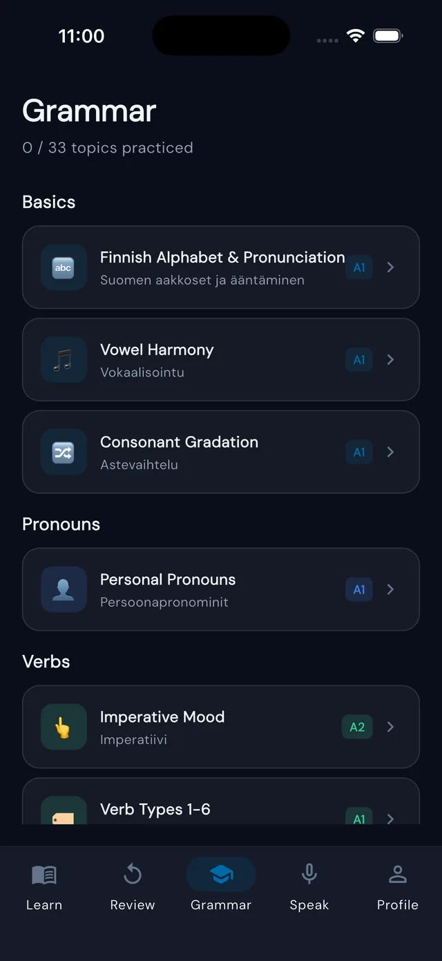 Grammar and all 15 noun cases